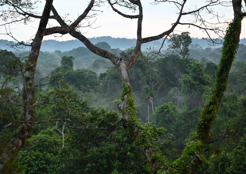 Amazonija proizvodi najviše kisika, ali njezine biljke ga truljenjem i troše. A što ako ta prašuma izgori?
