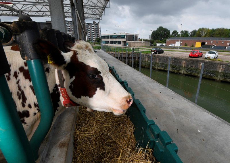 U Rotterdamu se nalazi prva plutajuća farma na svijetu, je li to budućnost proizvodnje hrane?