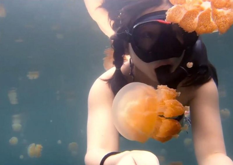 Biste li se vi usudili zaroniti u jezero puno meduza?