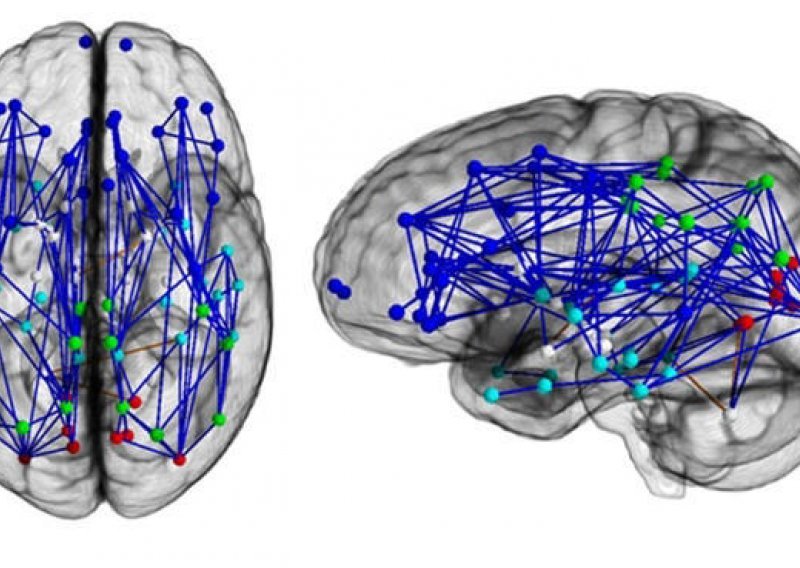 Otkrivene ključne razlike između muškog i ženskog mozga