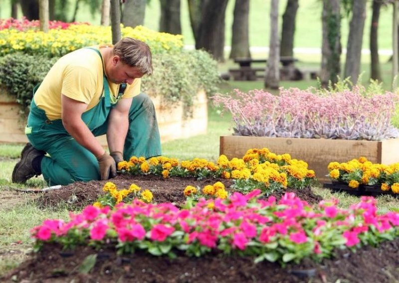 Na Bundeku uoči Floraarta popikano do 300 tisuća sadnica