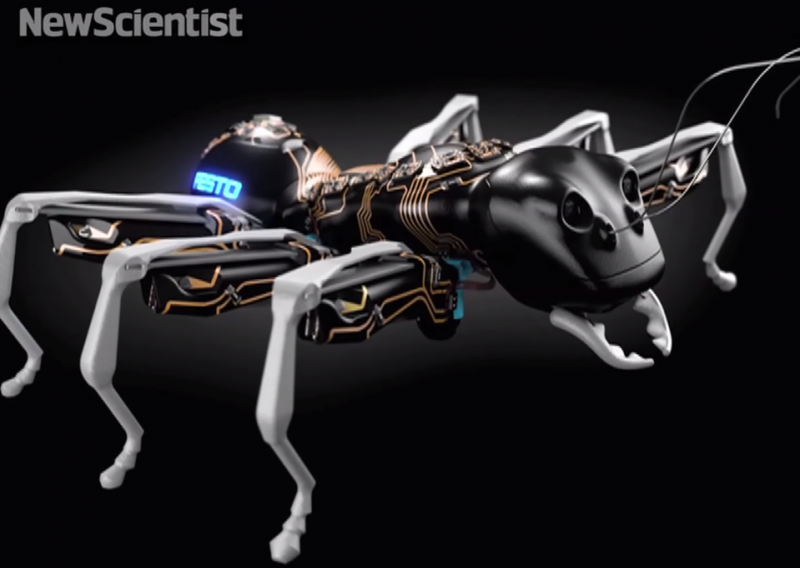 Ovo su robotički mravi, evo za što ćemo ih koristiti