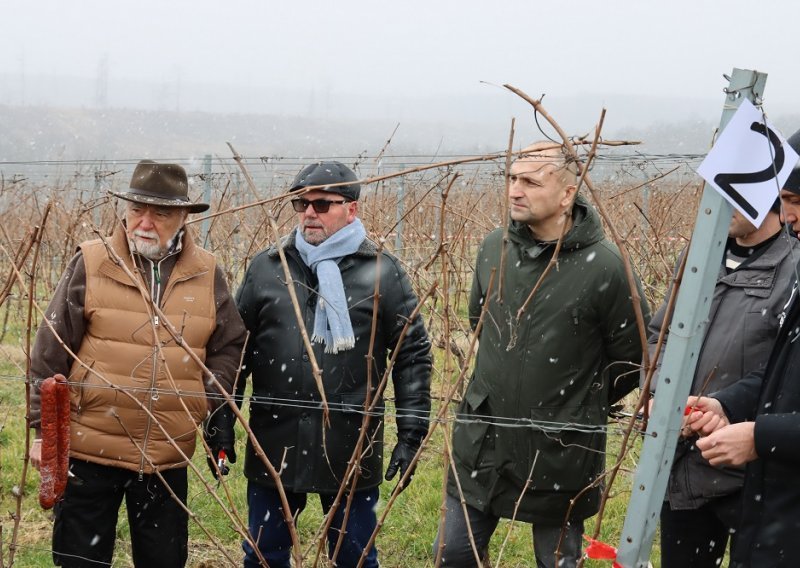 Blagdan sv. Vinka i ove godine proslavljen na tradicionalnoj manifestaciji Feričanačko Vince