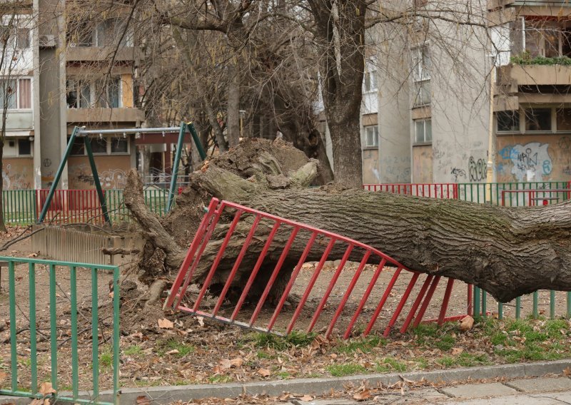 Civilna zaštita zbraja štetu: Olujno nevrijeme poharalo Hrvatsku, vjetar rušio stabla i nosio krovove