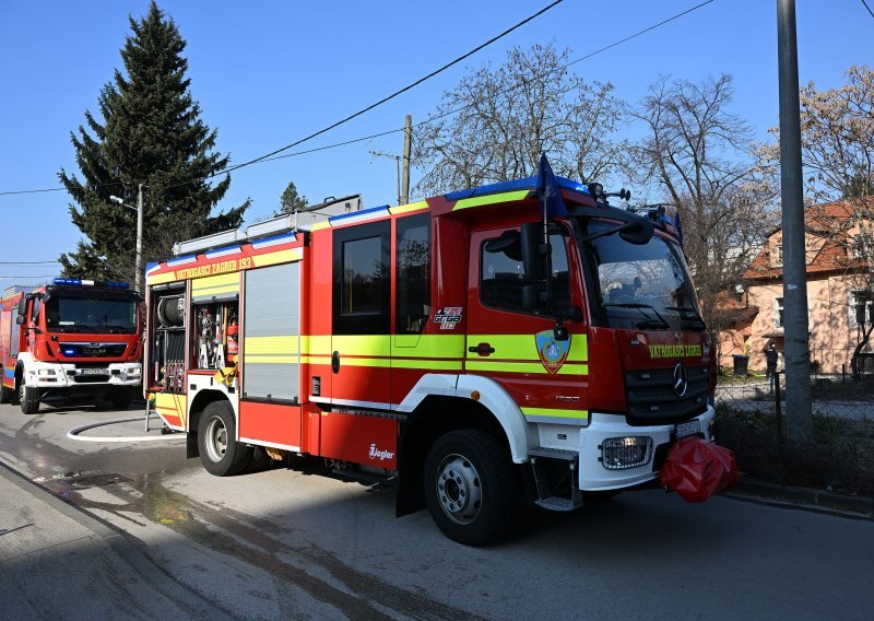 Tridesetak domaćih životinja nastradalo u požaru kod Poreča, zna se kako je došlo do izbijanja vatre