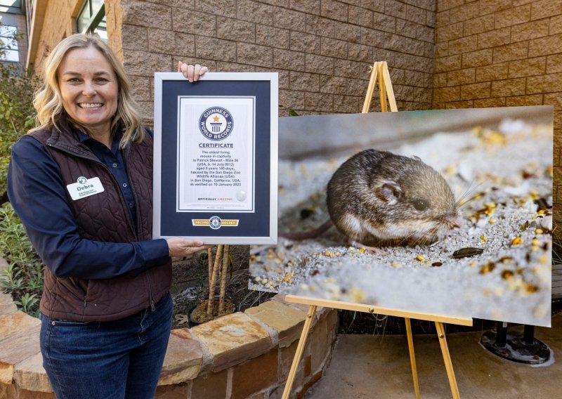 Pacifički džepni miš iz San Diega ušao u Guinnessovu knjigu rekorda, najstariji je na svijetu