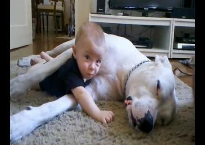 Pogledajte kako pas ljubi bebu