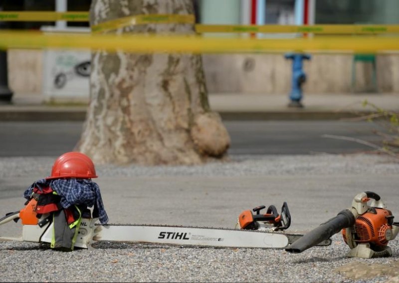 Zelena akcija: Slastičarnica Zagreb mora ponovno posaditi posječeno stablo