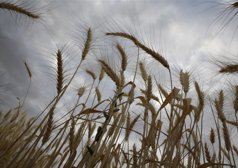 Kijev poziva UN i Tursku da spriječe Rusiju u kršenju sporazuma o izvozu žita