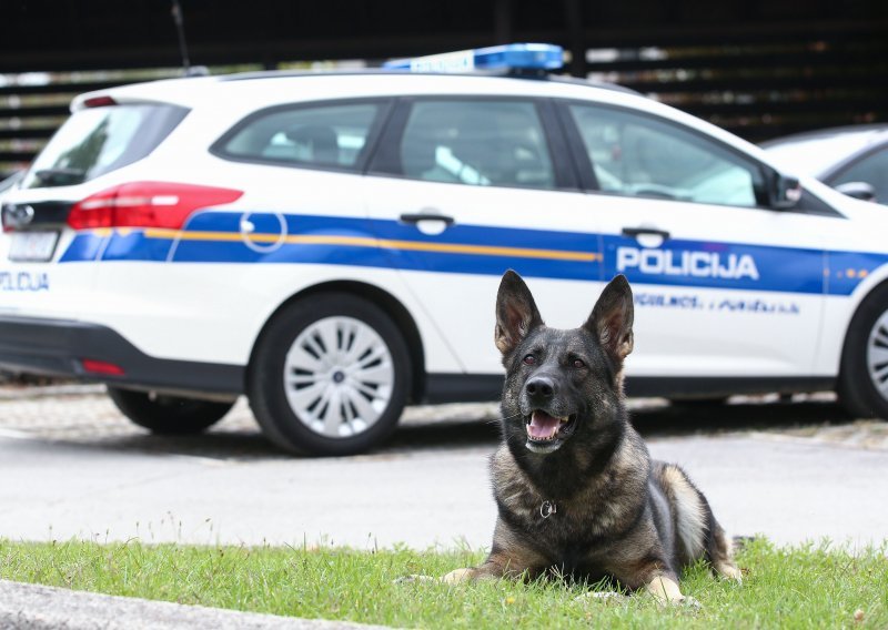 Mladić u Hrvatsku pokušao unijeti 11 kilograma heroina, razotkrio ga policijski pas