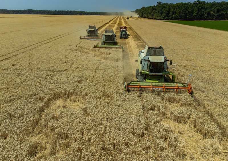 Vrijednost otkupa poljoprivrednih proizvoda lani skočila za trećinu