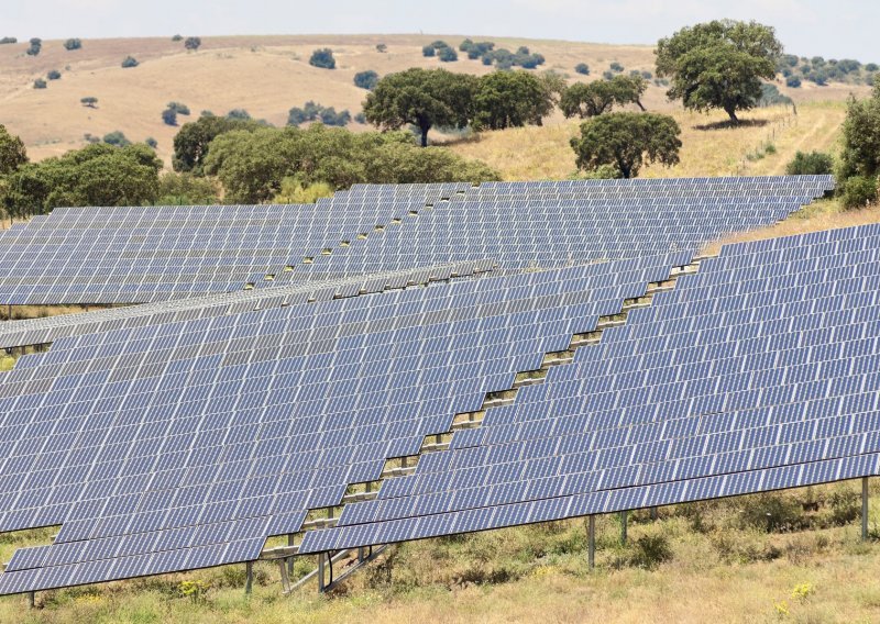 Najavljena izgradnja prve agrosolarne elektrane u Hrvatskoj