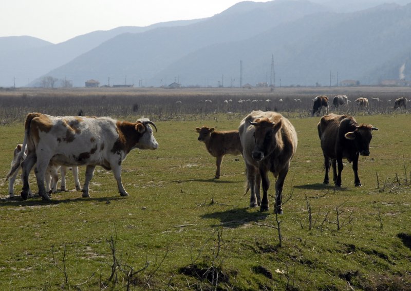 Za 78 malih poljoprivrednika 4,4 milijuna kuna potpora