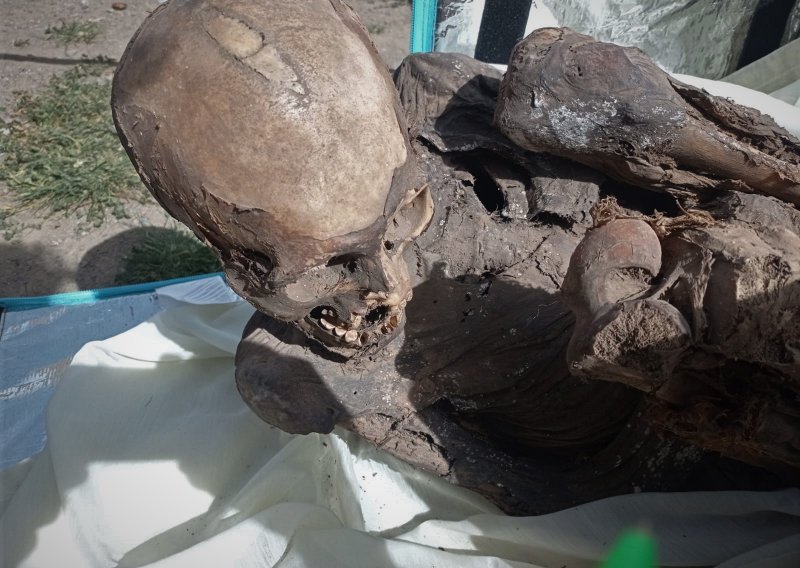 Policija zaustavila dostavljača i u torbi za hranu mu pronašla mumiju staru gotovo 800 godina, živio je s njom