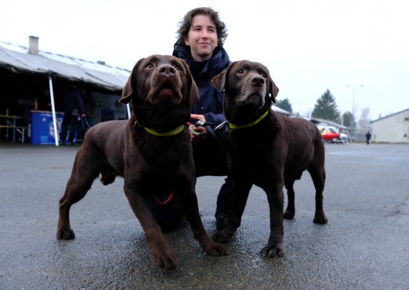 [FOTO] Obilježen Dan civilne zaštite: Sve su oduševili psi koju su nedavno tragali za preživjelima u Turskoj