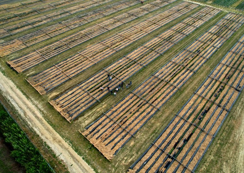 Gruntek ide preko granice: Ovako će se proširiti na Sloveniju