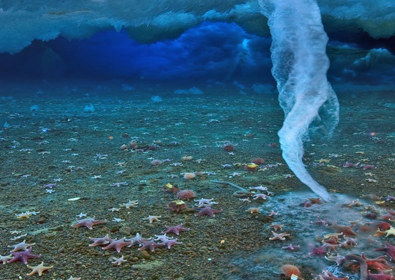 Jeste li vidjeli snimku ovog arktičkog podvodnog fenomena koji ubija sve što dodirne? Evo o čemu se radi