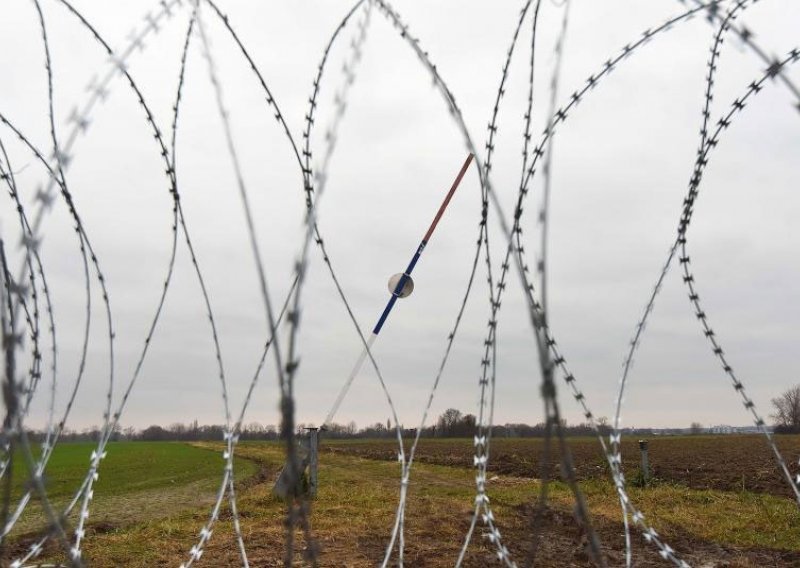 Ugledni znanstveni časopisi: Žilet žica je ekocid!