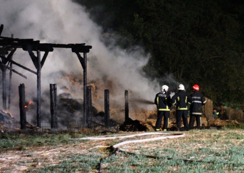Požar na farmi u Baranji: Uginulo 12 krava, šteta 200 tisuća eura