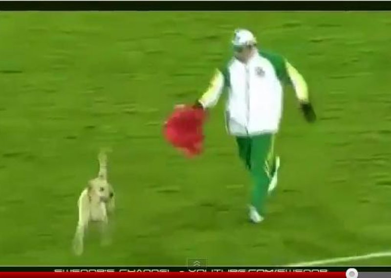 Kako uloviti psa na nogometnom travnjaku? Nikako!