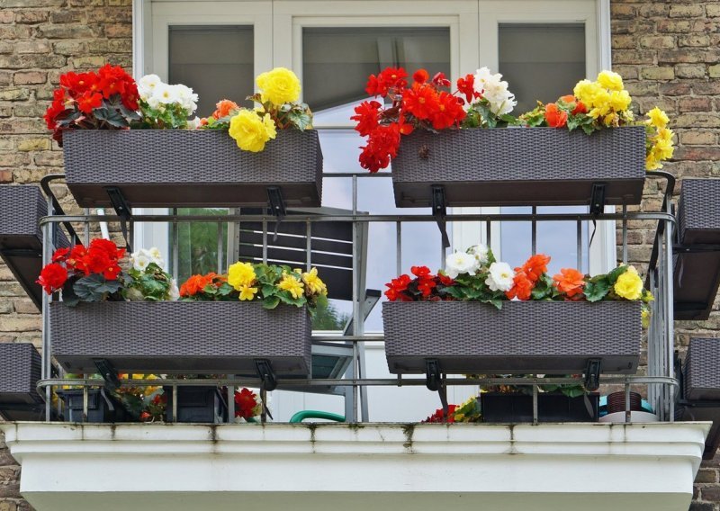 Da, i to se može: Ove atraktivne biljke uspijevat će na balkonu u potpunom hladu