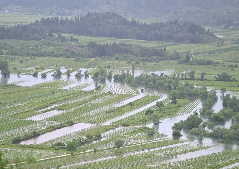 Vinogradi i nasadi jagoda u vrgoračkom kraju ponovno pod vodom