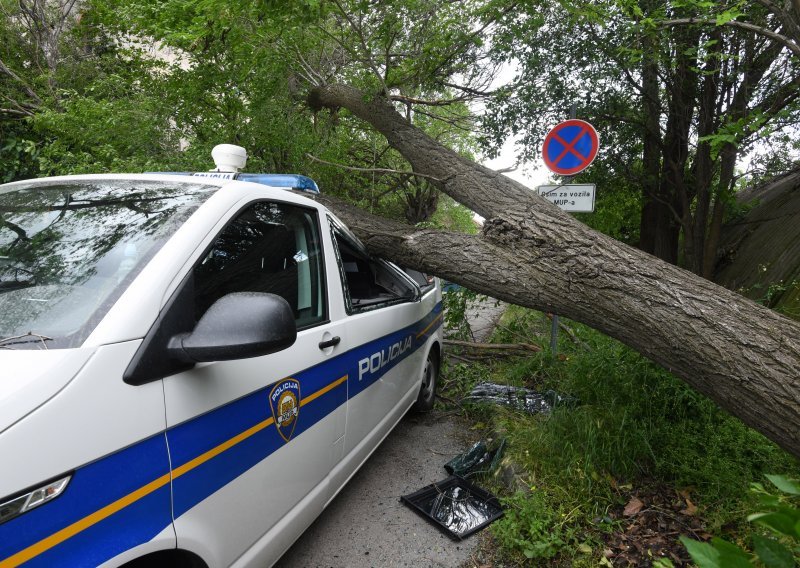Jak vjetar srušio veliko drvo u Šibeniku, skršen policijski kombi