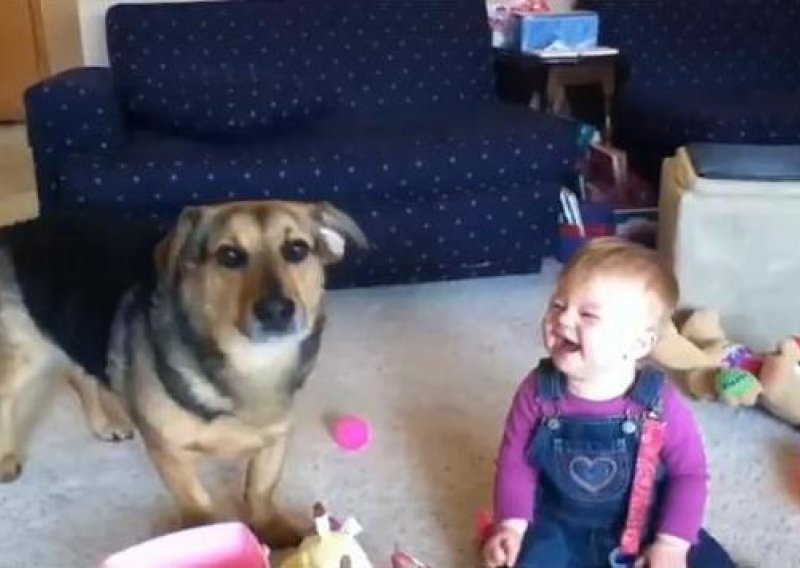 Pogledajte bebe koje se vesele psima