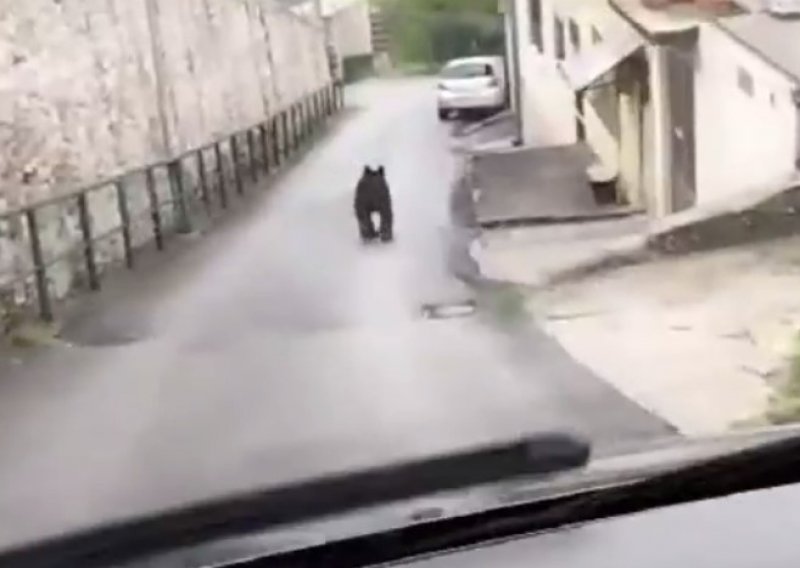 Medvjed trči ulicama Sarajeva, učenicima zabranjeno izlaziti iz škola, lovci u potjeri