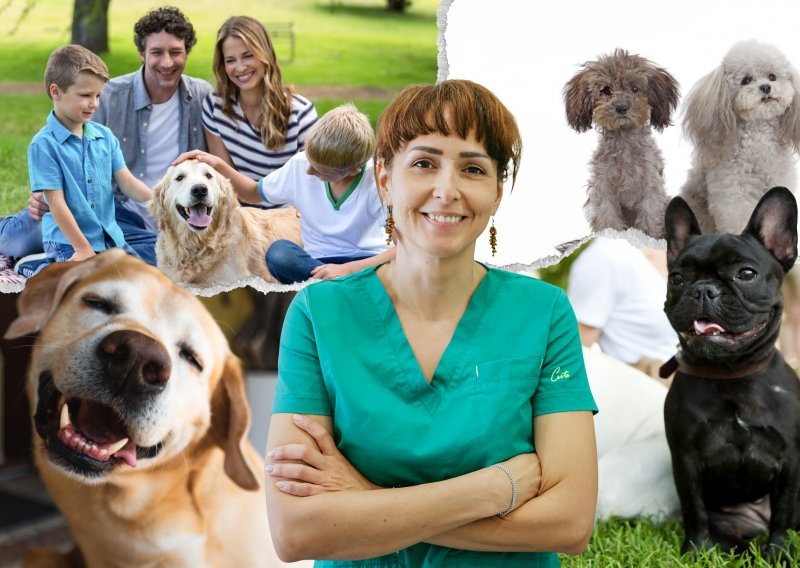 Veterinarka savjetuje koje su pasmine pasa najidealnije za obitelj