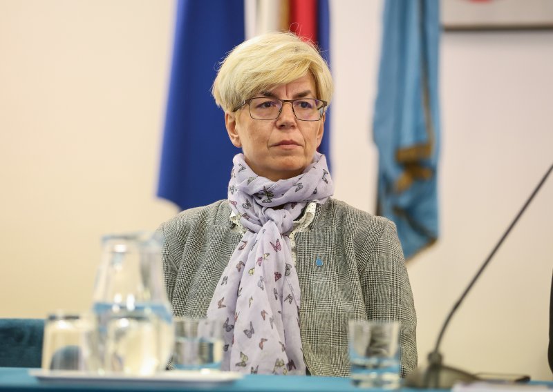 Ustavni stručnjaci nakon sastanka s Plenkovićem: Izborne jedinice neprihvatljive