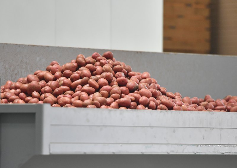 Vlada nestašica mladog krumpira, bit će skuplji i do 15 centi