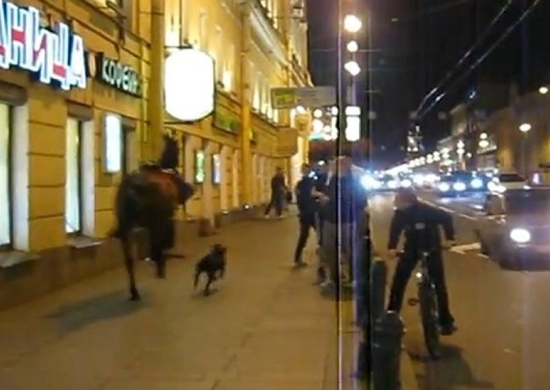 Odbjegli konj i pas jure St. Peterburgom