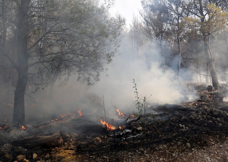 Neugašena vatra, opušci i staklo najčešći okidači ljetnih šumskih požara