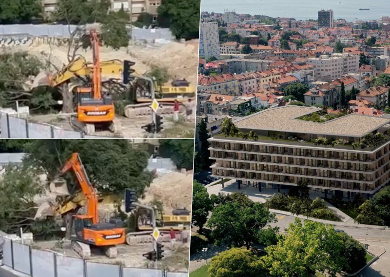 Split na nogama zbog srušenog drveta: Sve o trakavici zvanoj Small Mall