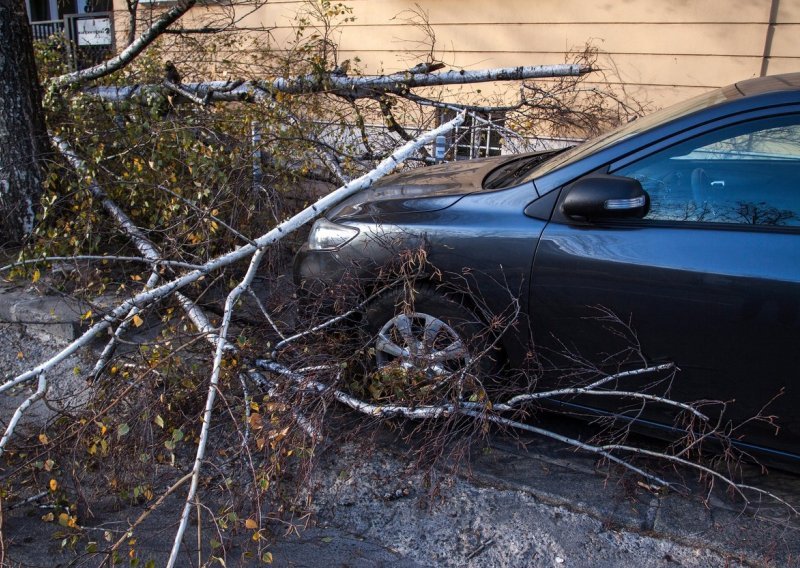 Nevrijeme u Sloveniji uzelo život: Stablo palo na automobil, vozač poginuo