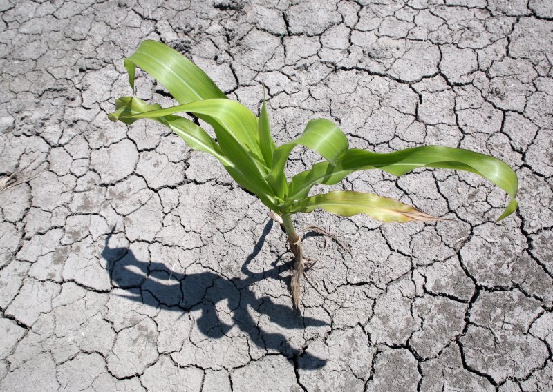 UN poziva na izradu nacionalnih programa borbe protiv suše