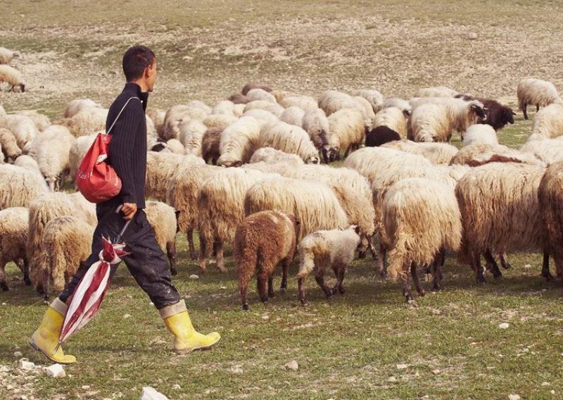 Nitko ne želi posao za tisuću eura mjesečno