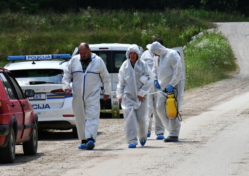 Zbog afričke svinjske kuge ministarstvo objavilo novu naredbu, evo detalja