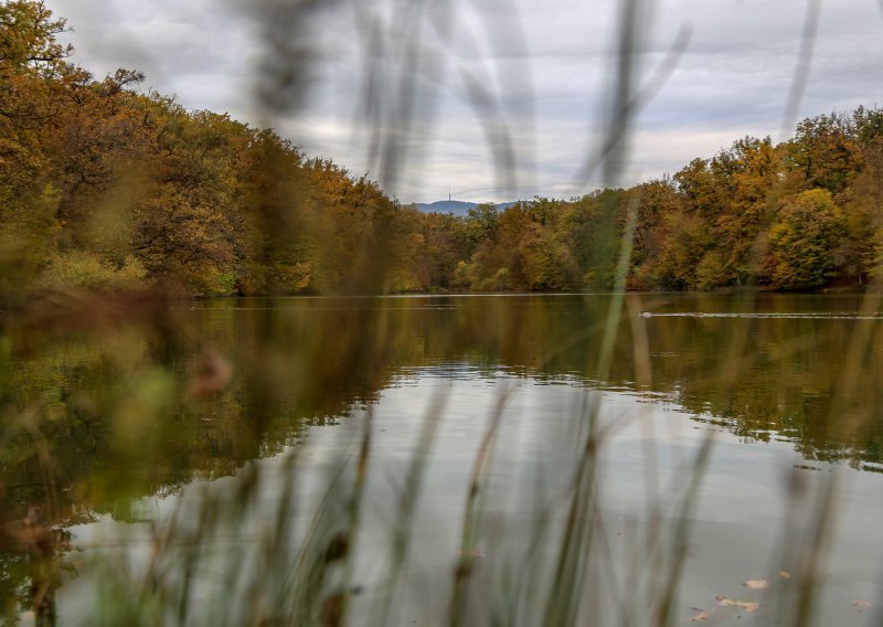Nakon Ilice i Španskog projekt 'Q’ART U TVOM KVARTU' stiže i u najljepši zagrebački kvart – Maksimir