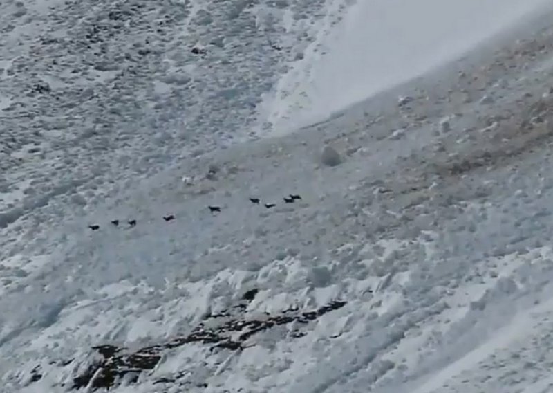 Jedanaest alpinista poginulo u potresu u Maleziji