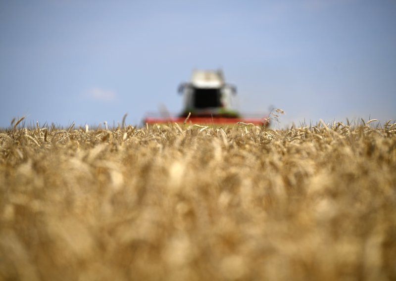 Ruska odluka potaknula skok cijena pšenice u SAD-u
