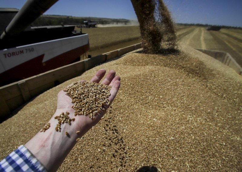 Rusija je izašla iz sporazuma o žitu. Što to znači za milijune ljudi diljem svijeta?