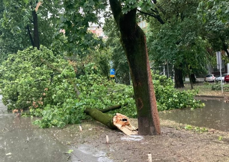 Grad Zagreb izdao upozorenje: Izbjegavajte parkove