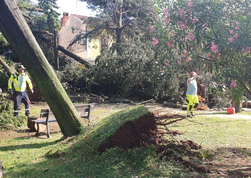 Novigrad teško stradao u oluji: Razoren cijeli kamp, u 15 minuta palo 200 stabala
