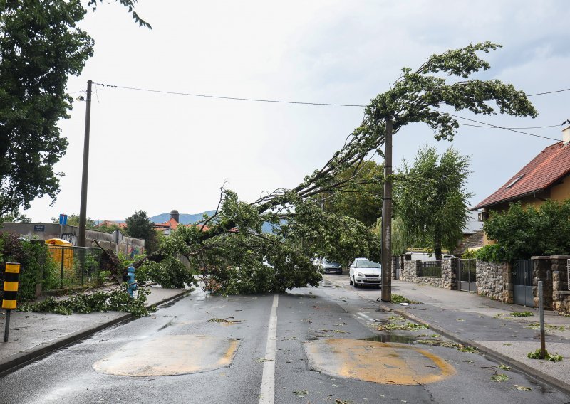 Novo nevrijeme u Zagrebu opet rušilo stabla, grad poslao apel građanima