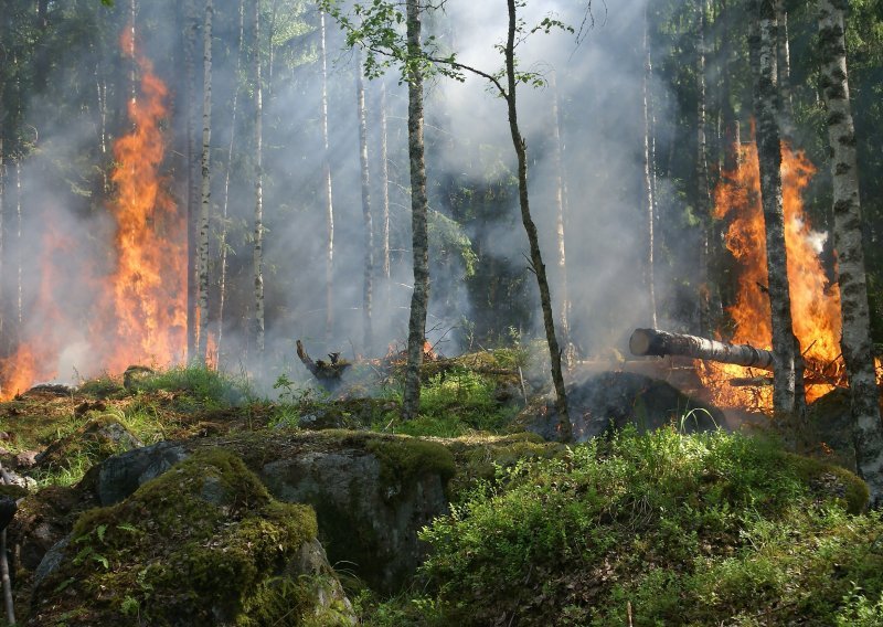 Znanstvenici tvrde: 'Uloga klimatskih promjena u srpanjskim toplinskim valovima je ogromna'