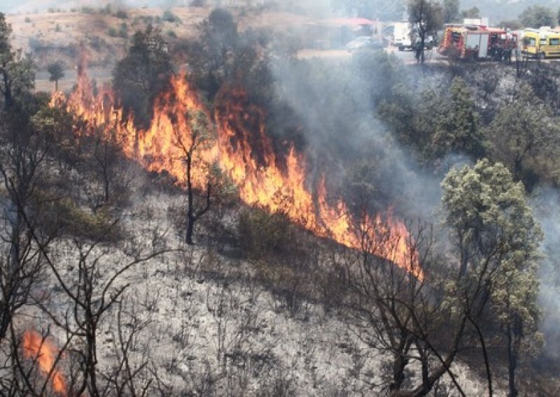 Alžirom bjesne šumski požari; 25 ljudi izgubilo život
