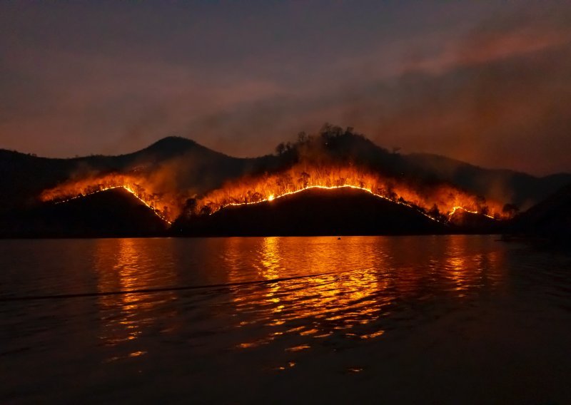 Istražili smo što je sve češći uzrok razornih šumskih požara. Donosimo detalje