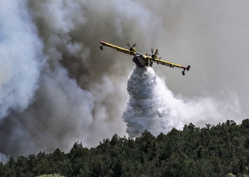 Požar kod Ploča: Gori gusta borova šuma, dva kanadera u akciji